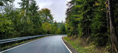 Sonbahar ormanındaki asfalt yolda dağlardaki ağaçların arasında. Arabayla yolculuk. Sonbaharda güzel bir orman.