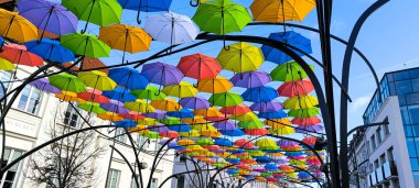 Bialystok, Polonya - 23.10.2024: Şehirde çok sayıda parlak renkli yağmur şemsiyesi kurulması. 