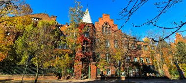 Wroclaw, Polonya - 24.10.2024: Üniversite Klinik Hastanesi binaları ve Wroclaw Tıp Üniversitesi bölümleri sonbahar renklerinde  