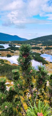 Favori bir hobi olarak dağlarda yürüyüş yapmak. Aktif yaşam tarzı. Yürüyüş patikalarından Tatra Dağları ve Batı Tatra 'nın manzarası. Dağlar arasındaki dağ zirveleri, yamaçlar, göller ve vadiler