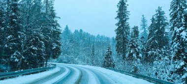 Kar yağışı sırasında ormanda karla kaplı yollar. Kış yolculuğu 