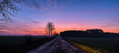Kış akşamında gün batımında sisli bir manzara. Ağaçların ve çalıların arasında sis