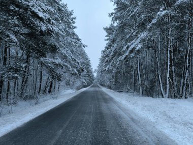Kışın ormanda karla kaplı yollar. Kış yolculuğu. Yüksek kalite fotoğraf