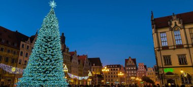 Wroclaw, Polonya - 18.01.2025: Wroclaw 'daki eski kasabanın meydanındaki Noel ağacı. Yüksek kalite fotoğraf