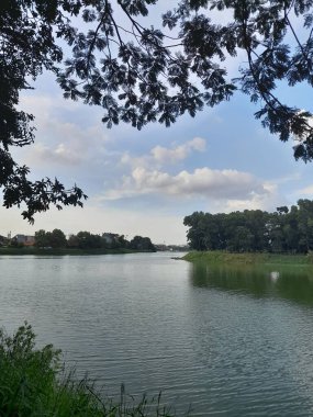 Parkta nehri olan güzel bir manzara.