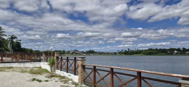 Brezilya 'nın Cear eyaletindeki Fortaleza şehrindeki Messejana Lagoon' daki balıkçıl manzarası çok güzel.