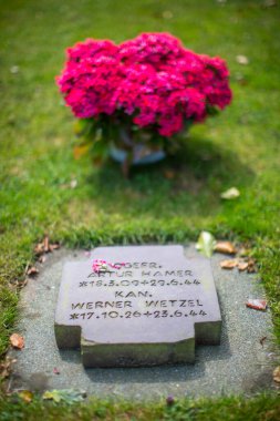 Fransa 'nın Normandiya kentindeki bir Alman askeri mezarlığında bir buket kırmızı çiçekle süslenmiş askerler. Tarihin resmi bir hatırlatıcısı..