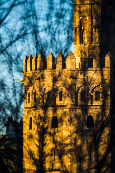 stock image The Torre del Oro (Tower of Gold) behind a bare tree, Seville, Spain
