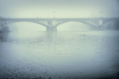 Sisli bir günde Triana Köprüsü, Sevilla, İspanya.