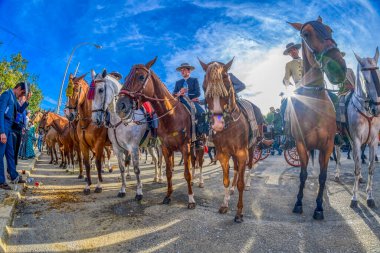 Mimar Ramon Balbuena y Huertas tarafından 1916 yılında tasarlanan modernist bina Seville, İspanya 'da yer almaktadır. Karmaşık görünüşü ve tarihsel önemi dikkat çekicidir..