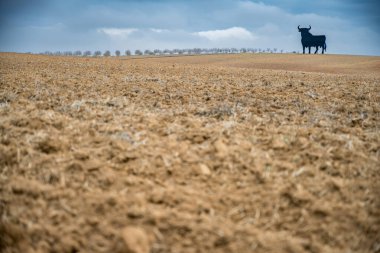 Mimar Ramon Balbuena y Huertas tarafından 1916 yılında tasarlanan modernist bina Seville, İspanya 'da yer almaktadır. Karmaşık görünüşü ve tarihsel önemi dikkat çekicidir..