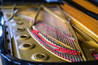 Tellerin ayrıntıları ve çerçeve bir Steinway kuyruklu piyanonun içinde, zanaatkarlık sergileniyor..