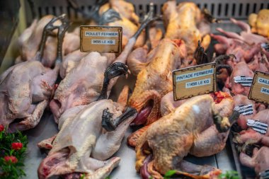 Vannes, Brittany, Fransa 'da yerel bir pazarda satışa sunulan çeşitli taze kümes hayvanları. Çiftlikte yetiştirilmiş tavuk, tavuk ve bıldırcın içerir..