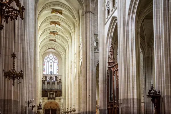 Fransa 'nın Nantes kentindeki Saint Pierre ve Saint Paul Katedrali' nin nefes kesici iç manzarası Gotik mimari ve karmaşık ayrıntıları gözler önüne seriyor..