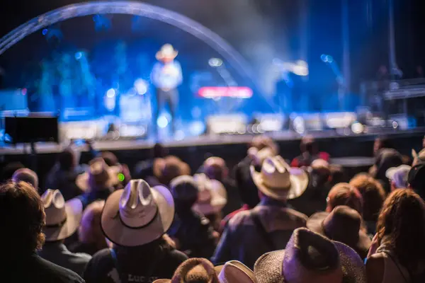 2017 'de İspanya' nın Riaza kentinde düzenlenen Huercasa Ülke Festivali 'nde seyirciler, festival atmosferiyle canlı country müzik performanslarının keyfini çıkarıyorlar..