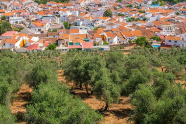 Scenic aerial view of Alanis de la Sierra village with white houses and a lush olive grove, located in Sevilla, Spain. clipart