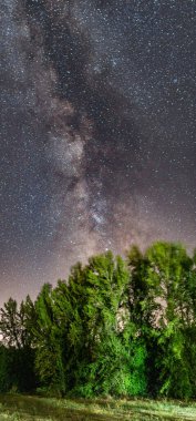 İspanya 'nın Endülüs, Huelva eyaletindeki Fuenteheridos ormanında parlayan parlak Samanyolu Galaksisi. Mükemmel yıldızlı gece astronomik harikalar yakalıyor..