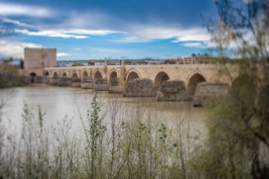 İspanya, Endülüs, Cordoba 'daki tarihi Puente Romano köprüsünün Tilt-shift fotoğrafı. Antik mimari ve huzurlu nehir manzarası.