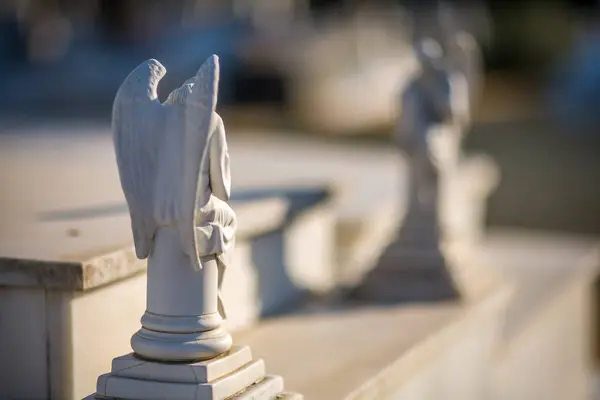 Cementerio de San Fernando, Sevilla, Endülüs 'teki melek heykellerini kapatın. Huzurlu mezarlık atmosferi barış ve hürmet taşır..