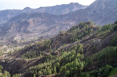 Kanarya Adaları 'ndaki San Sebastian de La Gomera yakınlarındaki engebeli dağların ve yemyeşil yeşilliğin nefes kesici manzarası doğanın güzelliğini ve huzurunu yakalıyor..