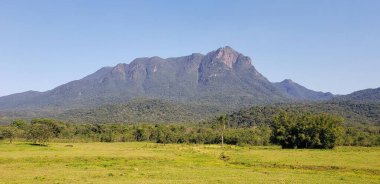 Güneşli Atlantik Ormanı dağları otlakların üzerinde, mavi gökyüzü ve doğal ormanıyla