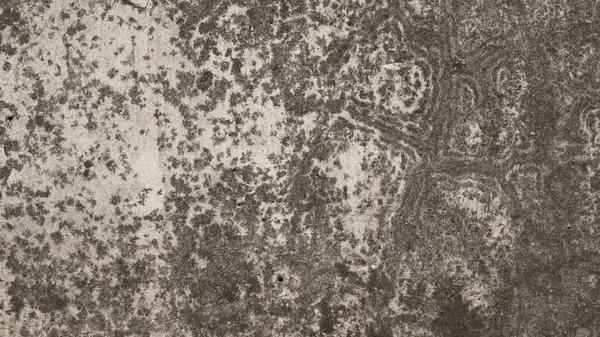 Soyut arkaplan. Monokrom dokusu. Görüntü siyah ve beyaz bir ton etkisi içeriyor. Hava durumuna göre soyut beton duvar. Grunge efekti duvarı.