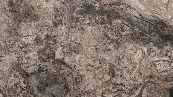 Soyut arkaplan. Monokrom dokusu. Görüntü siyah ve beyaz bir ton etkisi içeriyor. Hava durumuna göre soyut beton duvar. Grunge efekti duvarı.