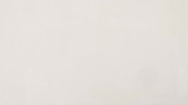 El sallayın ve merhaba deyin. Stüdyoda beyaz arka planda elveda ya da vücut ile iletişim kurun. El hareketi, insan ya da ifade tarzı, elveda ya da dikkat çekmek için el sallama..