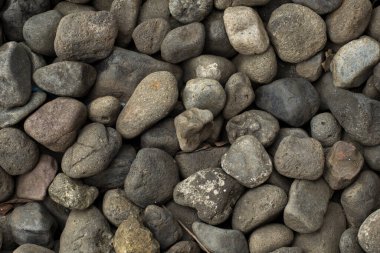 Gün boyunca orta büyüklükteki kaya yığınlarının yakınlaşması. İç avlu ihtiyaçları için orta büyüklükte nehir taşı yığını.