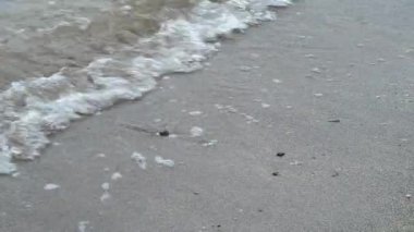 Atlantik Okyanusu sahilinde sığ su. Beyaz kum ve şeffaf deniz ya da küçük tembel dalgalı okyanus suyu. 4K çözünürlüklü plaj yaz videosu.