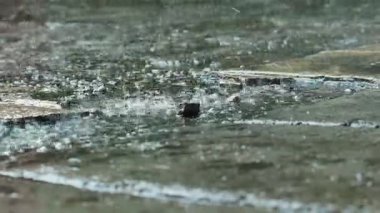 Yere şiddetli yağmur damlaları yağıyor. Yağmurlu bir günde beton zemine yağmur damlaları düşer. Beton zemine yağmur damlaları.