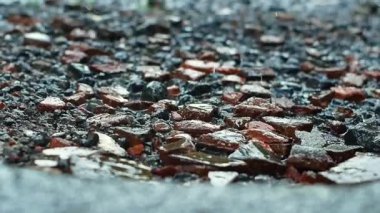 Yağmur damlaları kayalarla dolu yere düştü. Kayalık zemine düşen 4k yağmur suyu videosu.