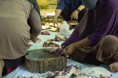 Bir grup kadın bayram kutlaması sırasında tahta tepside bir keçi eti yığınını bıçakla kesiyorlar. Kasap çiğ keçi etini bıçakla keser. Ied al adha kavramı.