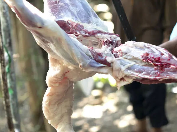 Taze et satmak ve yemek pişirdikten sonra çok lezzetli ve sulu olmak için tam zamanında. Kurban Bayramı 'nda geleneksel bir bıçakla keçinin derisini gövdesinden ayırmak..