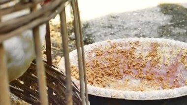 Şişmanlatmak için yemek yiyen beyaz kazan tavuğunun yakın plan görüntüsü. Tavuk kafesinin içinden yemek yiyordu..