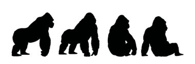 set of gorilla silhouette - vector illustration . clipart