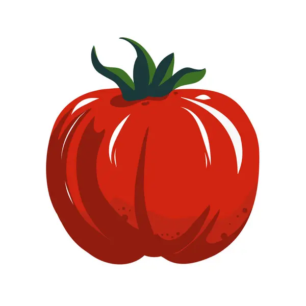 Kırmızı domates - vektör çizimi. Vektör illüstrasyonu