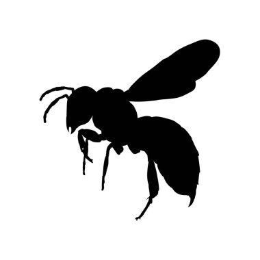 Uçan eşekarısının silueti vektör çizimi, yan görüş. Vektör illüstrasyonu