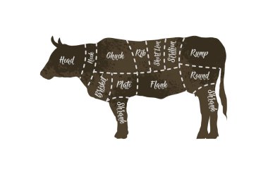 Et kesimlerinin kasap çizimleri, sığır eti. Vektör illüstrasyonu