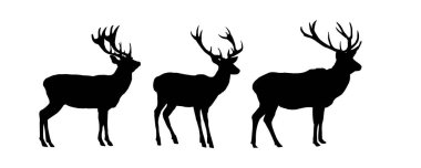 Geyik siluetleri - vektör çizimi .