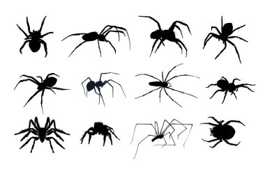 Örümcek silueti seti izole edildi. Vektör illüstrasyonu