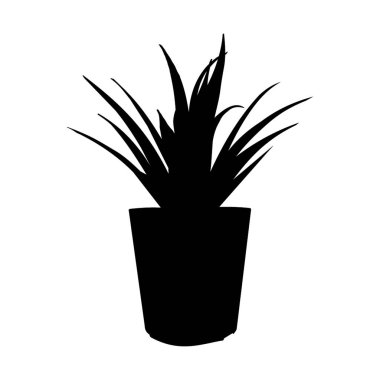 Saksı bitkisi silueti, Sansewieria silueti - vektör çizimi. Vektör illüstrasyonu