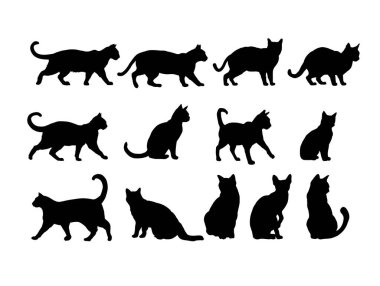 Kedi silueti seti. Vektör illüstrasyonu