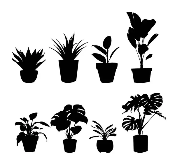 Bir çift saksı bitkisi silueti. Vektör illüstrasyonu