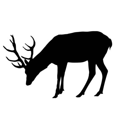 Geyik silueti. Vektör illüstrasyonu