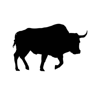 Saldırgan boğa, boğa silueti. Vektör illüstrasyonu