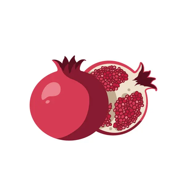 nar meyvesi - basit vektör illüstrasyonu .