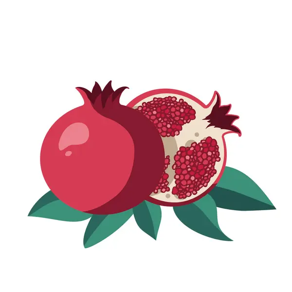 nar meyvesi - basit vektör illüstrasyonu .