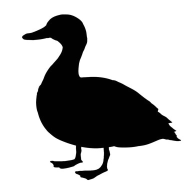 Ördek silueti - vektör illüstrasyonu . 