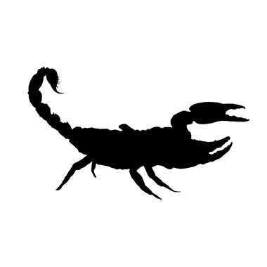 Akrep silueti - vektör çizimi. Vektör illüstrasyonu